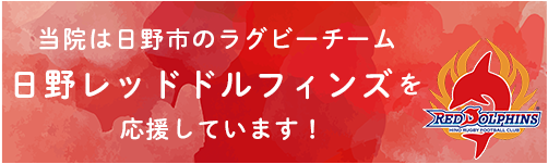 当院はプロラグビーチーム日野レッドドルフィンズを応援しています
